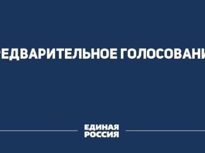 Предварительное голосование на дополнительных выборах депутата Госдумы пройдет в Хабаровском крае