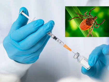 В Амурском районе продлена вакцинация против клещевого вирусного энцефалита