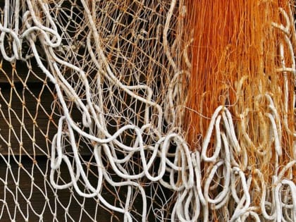 Хабаровскому краю надо готовиться к большому подходу горбуши — Сергей Рябченко