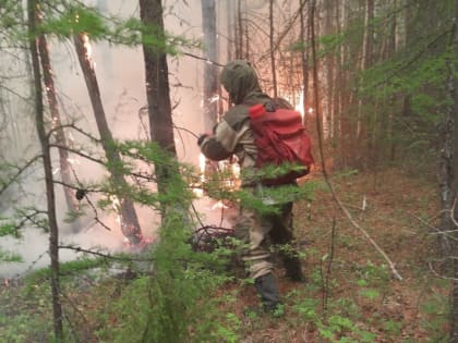 Пожарные Приморья помогут Хабаровскому краю