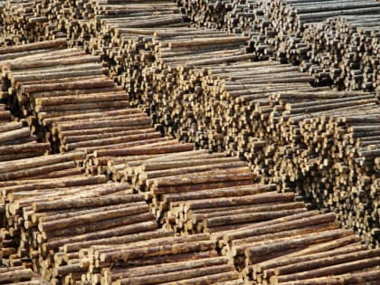 Предприятие из Ванино отметили во «Всероссийской книге почёта»