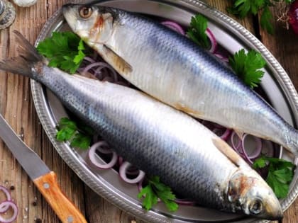 Экспорт рыбы и морепродуктов вырос в Хабаровском крае