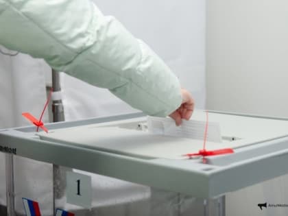 Рекордное число голосов за действующего президента показал Хабаровский край