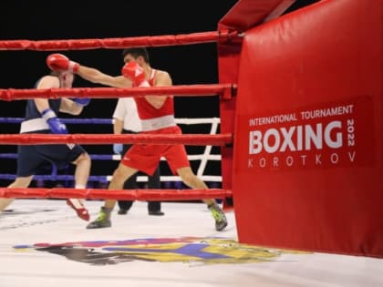 Федерация бокса Хабаровского края признана одной из лучших в стране