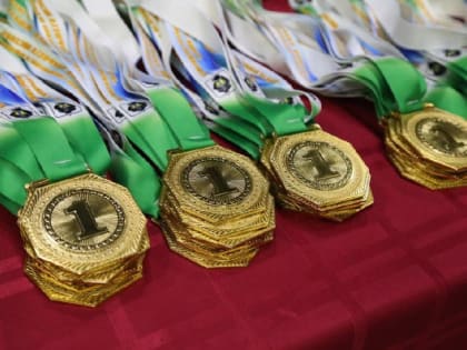 В 2022 году спортсмены Хабаровского края завоевали 2 615 медалей