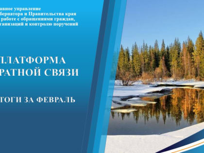 Платформа обратной связи. Итоги за февраль