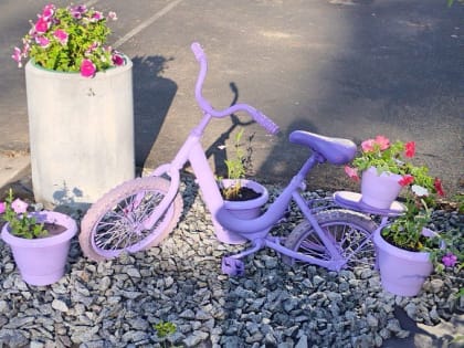 Подведены тоги конкурса на лучшее ландшафтное оформление школ и детсадов