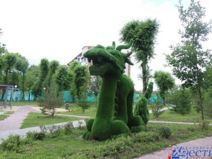 Хабаровчане выбирают общественные территории для благоустройства