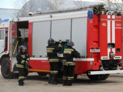 Во время пожара в хабаровской ветклинике удалось спасти всех животных