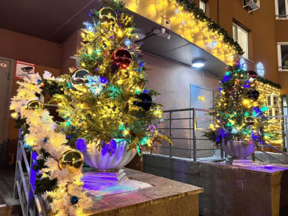 Хабаровчане могут проголосовать за лучший зимний двор