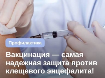 Заболевание, вызываемое клещами, угрожает жителям города