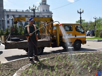 Уходом за цветами и кустарниками в Хабаровске занимаются весь сезон