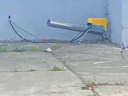 Хабаровскому племптицезаводу запретили отпугивать птиц