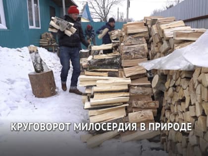 Дрова для матери участника СВО нарубили подопечные организации «Милосердие»