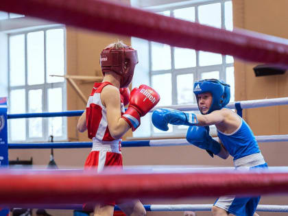 В Хабаровске завершились состязания по боксу