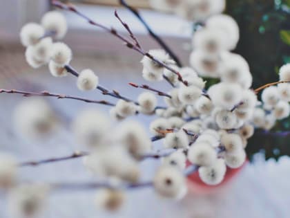 Хабаровский край возвращается к привычным апрельским температурам