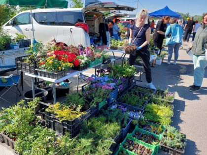 Больше 1,5 тонн продуктов продали фермеры на ярмарке выходного дня в Хабаровске