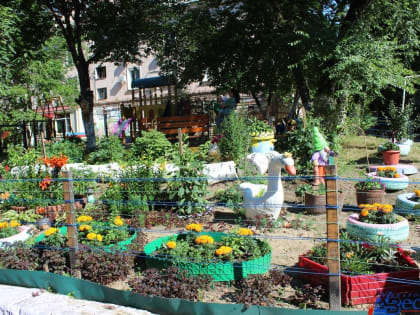 Стали известны победители первого смотра-конкурса ТОС в Хабаровске