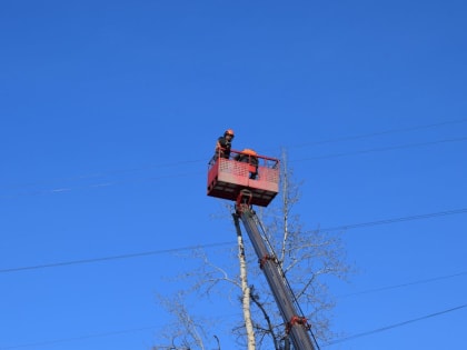 На проспекте 60-летия Октября спилили мешающие ремонту деревья
