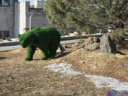 Пасмурно и без осадков в пятницу в Хабаровске