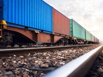 Предприниматели: Китай пока не готов возобновить импорт из Хабаровского края в полную силу