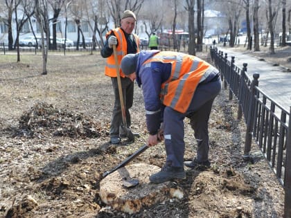 Корчеванием пней на красных линиях занялись в Хабаровске