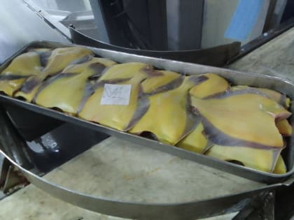 Россия запускает инициативу по увеличению потребления рыбы до 2030 года