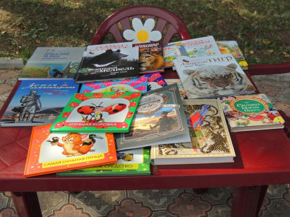 Библиотечная площадка в городском сквере