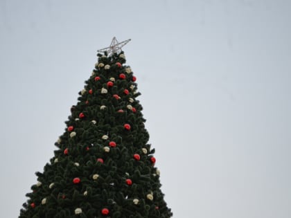 Главная Новогодняя ёлка Комсомольска зажжёт свои огни 22 декабря