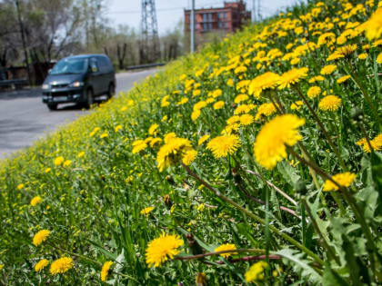 В Хабаровском крае установилась погода, которую в мае никто не ждал