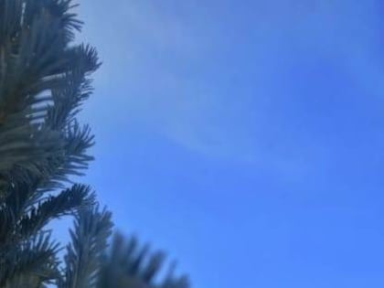 В НЕДЕЛЮ ПО РОЖДЕСТВЕ ХРИСТОВОМ ВЛАДЫКА АРИСТАРХ СОВЕРШИЛ ВОСКРЕСНОЕ БОГОСЛУЖЕНИЕ