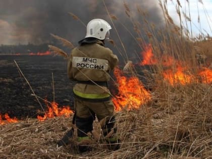Режим ЧС объявлен в Хабаровском крае из-за сложной пожарной обстановки