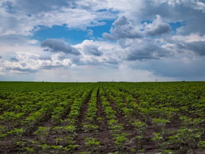В России расширили программу льготного лизинга для аграриев