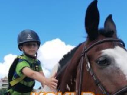 Реабилитация через общение с лошадью