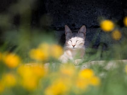 Теплые выходные ожидают хабаровчан на праздники