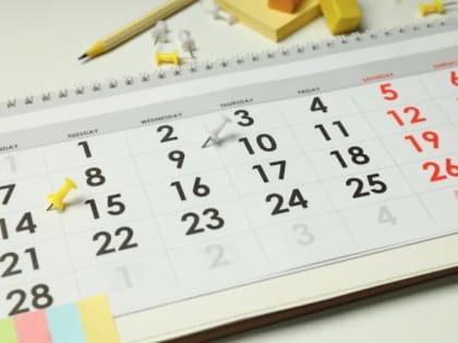 В России появится новый праздник, Путин поручил