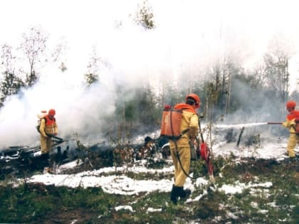 Особый противопожарный режим ввели еще в девяти районах Хабаровского края