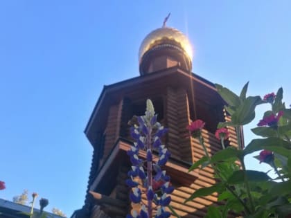 АРХИЕРЕЙСКОЕ БОГОСЛУЖЕНИЕ В НЕДЕЛЮ 13-Ю ПО ПЯТИДЕСЯТНИЦЕ