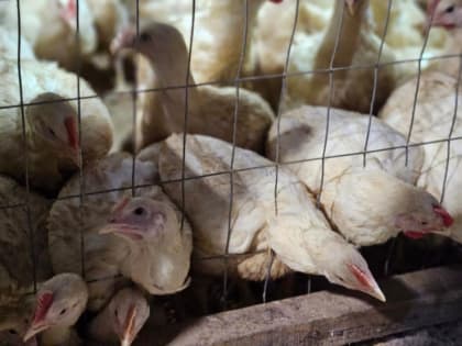 Более 700 жителей края воспользовались поддержкой соцконтракта с начала этого года