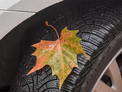 За год цены на зимнюю резину в Хабаровском крае выросли до 10%