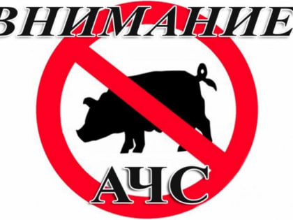 Африканская чума свиней