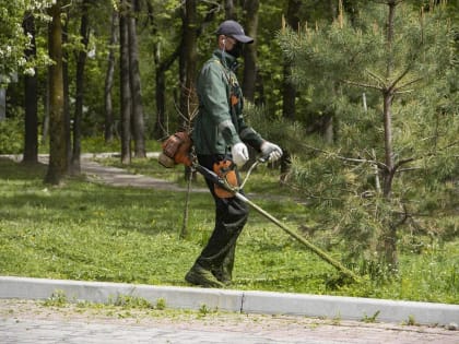 К покосу травы приступили в Хабаровске