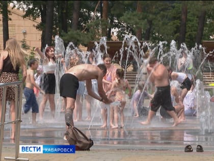 Ограничения из-за энтеровируса введены в Хабаровске и крае