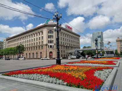 Цветами украсит «Горзеленстрой» Хабаровск к Дню Победы и юбилею города