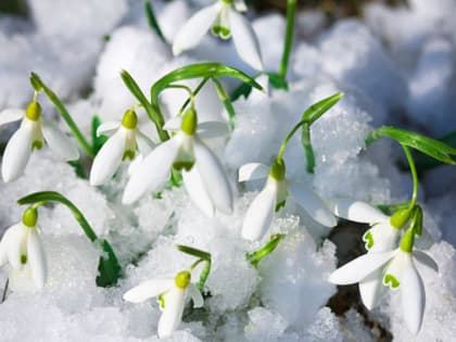 В Хабаровский край на этой неделе наконец-то придёт весна