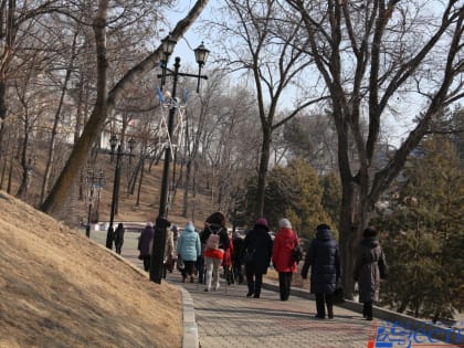 Двенадцатый сезон акции «Шаги здоровья» стартует в Хабаровске