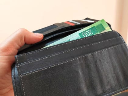 Учет своих доходов и расходов ведет 65% россиян