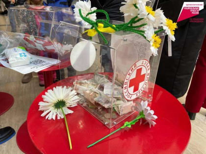 Акция «Белая Ромашка» пройдет в Хабаровске