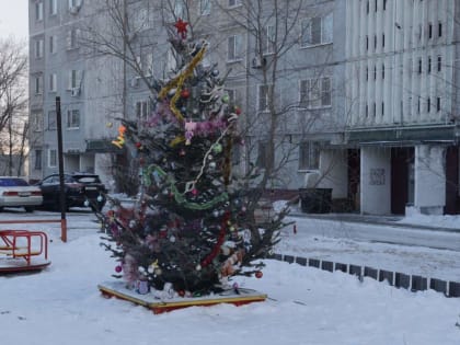 Финальный этап зимнего конкурса на лучший двор завершается в Хабаровске