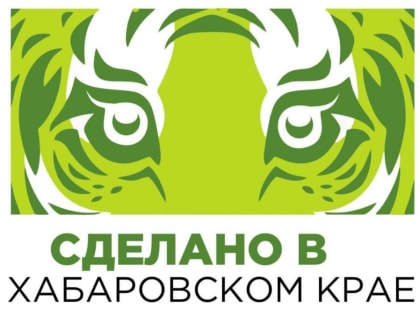 Михаил Дегтярёв поручил разработать бренд Хабаровского края